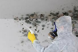 Best Asbestos and Lead Testing During Mold Inspection  in South Wilton, CT